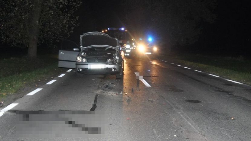 Do wypadku doszło na drodze między miejscowościami Tarnogród i Luchów Górny