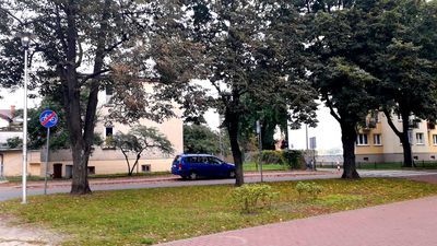 Mały zieleniec przy ul. Prusa. To jedno z miejsc wskazanych do wygospodarowania kilku miejsc postojowych. Puławscy urzędnicy zapewniają, że duże i zdrowe drzewa zostaną zachowane