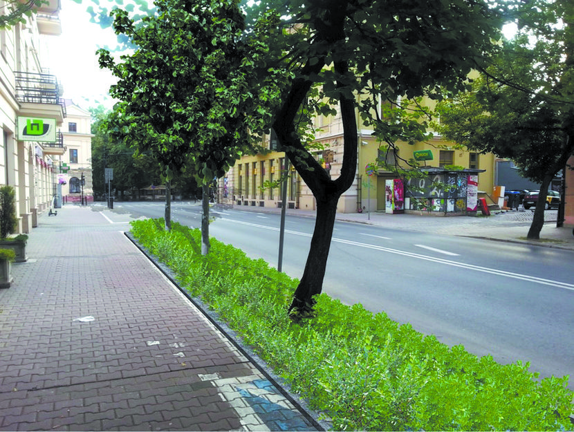 18 drzew ma trafić na ul. Chopina, gdzie część miejsc parkingowych zostanie przeniesiona z chodnika na jezdnię