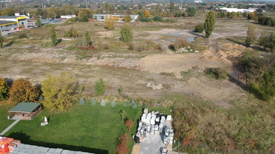 Lublin: Budują magazyny, szykują ostre cięcie drzew