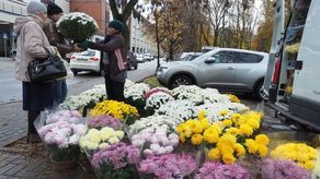 Zdjęcie ilustracyjne