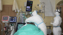 Naukowcy z PAN: "Jeśli nie zmienimy naszego postępowania, to za miesiąc spotka nas tragedia"