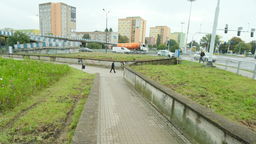 Usunięte drzewka rosły w pobliżu przejścia podziemnego pod ul. Łęczyńską po stronie os. Przyjaźni