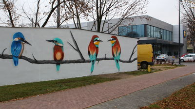 Jak przyznaje autor, celem tego muralu jest wywoływanie uśmiechu i pozytywnych odczuć u przechodniów w tym trudnym dla wszystkich czasie 