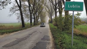 Lublin: Tutaj nie będzie wielkiej wycinki drzew. Radny nic nie wskórał