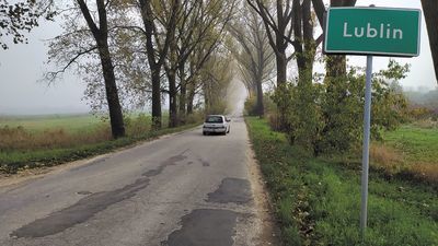 Lublin: Tutaj nie będzie wielkiej wycinki drzew. Radny nic nie wskórał