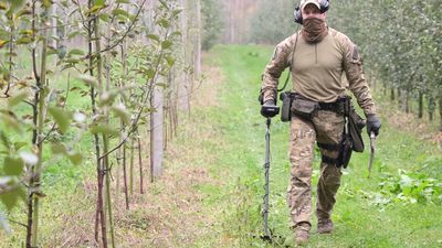 Dzisiaj po południu w sadzie pracowali policjanci. Chodzili z wykrywaczami metalu, szukali pocisku