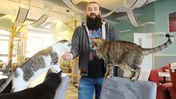 Skoro nie działamy w tradycyjny sposób, moglibyśmy wyłączyć ogrzewanie, ale ze względu na koty nie możemy tego zrobić. Koty to piecuchy – mówi Konrad Białek, właściciel Mrau Cafe