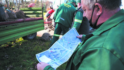 W mieście przybędzie blisko 200 drzew i ponad 500 krzewów