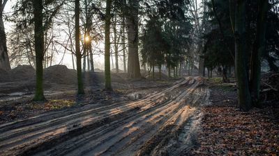 Biała Podlaska: Park znowu rozkopany. Co się zmieni?