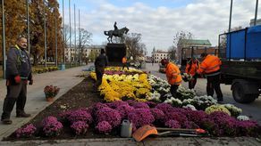 Chryzantemy "od rządu" ozdobiły pl. Litewski