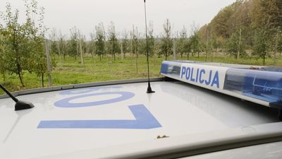 Szkolny sad w Kluczkowicach