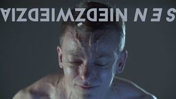 Wystawa "Sen niedźwiedzia" Galerii Labirynt dostępna online