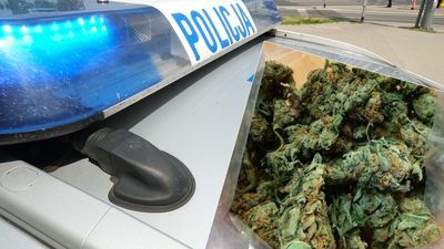 Zdjęcie ilustracyjne