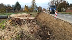 W Sadurkach będzie chodnik kosztem drzew