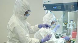 Ekspert: Wyścig o skuteczną szczepionkę na COVID-19 jeszcze się nie skończył