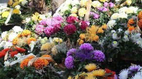 Zdjęcie ilustracyjne