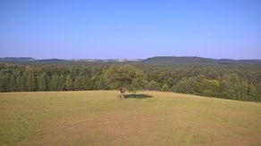 Widok na Roztoczański Park Narodowy z wieży widokowej na Białej Górze