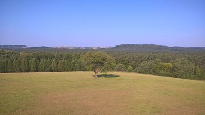 Widok na Roztoczański Park Narodowy z wieży widokowej na Białej Górze