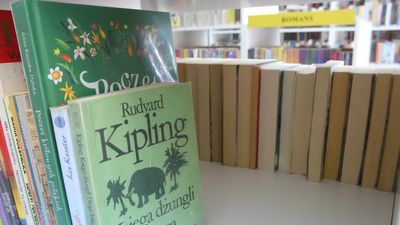 Uczniowie uczą się z domów. Szkolni bibliotekarze też chcą pracować z domów