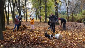 W parku we Włodawie powstały trzy "domki" dla jeży.