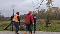 W parku Zawilcowa trwa wymiana 160 drzew