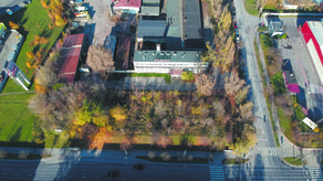 Lublin: W tym miejscu zanosi się na dużą wycinkę. Może zniknąć nawet kilkadziesiąt drzew