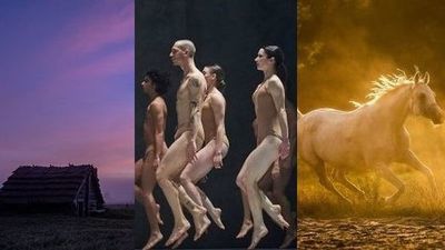 Lubelskie jakiego nie znacie, a jakie udało się sfotografować. Znamy zwycięzców konkursu