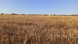 Wójtowie muszą zwrócić pieniądze za spis rolny, ale tylko te, które mieli wypłacić sobie