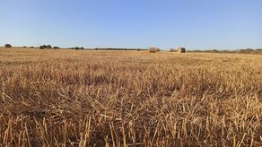 Wójtowie muszą zwrócić pieniądze za spis rolny, ale tylko te, które mieli wypłacić sobie