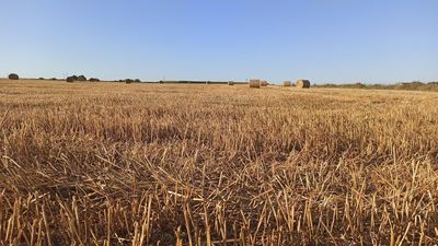 Wójtowie muszą zwrócić pieniądze za spis rolny, ale tylko te, które mieli wypłacić sobie