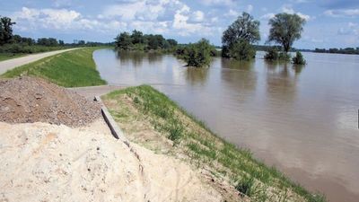 W naszym regionie wały pełnią dwie funkcje: poza zabezpieczaniem przed powodzią, prowadzone są nimi ścieżki rowerowe wykorzystywane do celów rekreacyjnych. Gdy wjeżdża na nie ciężki sprzęt, nie trudno o uszkodzenia brukowej kostki