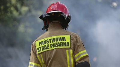 Zdjęcie ilustracyjne