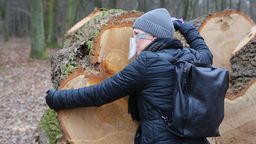 Pani Katarzyna przyznaje, że nie może znieść widoku wycinanych dorodnych drzew w lesie Rejkowizna