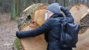 Pani Katarzyna przyznaje, że nie może znieść widoku wycinanych dorodnych drzew w lesie Rejkowizna