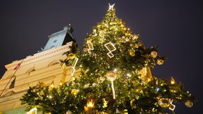 Lublin: Świąteczna iluminacja w komplecie. Choinka już cieszy przechodniów