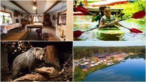 Roztocze buduje swoją markę. W sezonie letnim region odwiedziło więcej osób [zdjęcia]