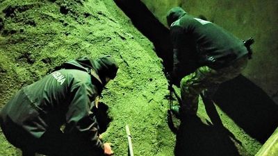 Hrubieszów. Przeszukali wagony i znaleźli kontrabandę za grube tysiące złotych