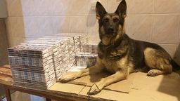 Iga znalazła ukryte papierosy