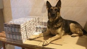 Iga znalazła ukryte papierosy