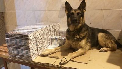 Iga znalazła ukryte papierosy