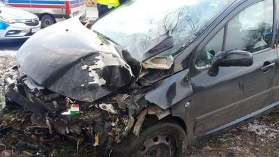 Ryki. Peugeot wylądował na drzewie. Kierowca był pijany