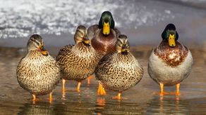 Zdjęcie ilustracyjne