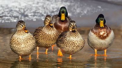 Zdjęcie ilustracyjne