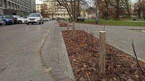 Kierowcy rozjeżdżali żywopłot. Miasto Lublin: "Teraz niech spróbują parkować"