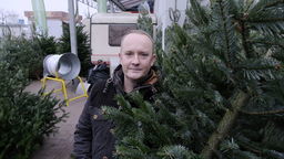 Michał Skrzyński: Z doświadczenia wiem, że osoby starsze wybierają rzadsze gałęzie, bo mają wiele dużych bombek do zawieszenia. Młodsi stawiają na gęste drzewka, bo ozdób mają mniej