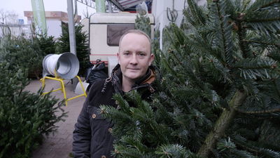 Michał Skrzyński: Z doświadczenia wiem, że osoby starsze wybierają rzadsze gałęzie, bo mają wiele dużych bombek do zawieszenia. Młodsi stawiają na gęste drzewka, bo ozdób mają mniej