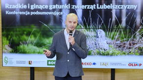 Gdzie na Lubelszczyźnie spotkasz gadożera? Wilki widziano nawet na peryferiach Lublina