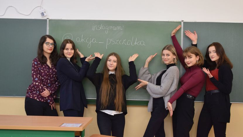 Uczniowie Zespołu Szkół Ogólnokształcących nr 1 im. KEN w Puławach zorganizowali dwa projekty: „Pomoc dla nietoperzy” i „Akcja Pszczółka”