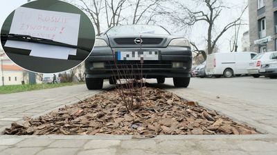 Nie działa ani metoda "na trawnik" ani "na żywopłot". Kierowcy uparcie tu parkują